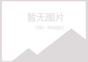 宁夏山柳水泥有限公司